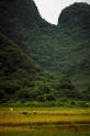 Karsts, Guilin China 4